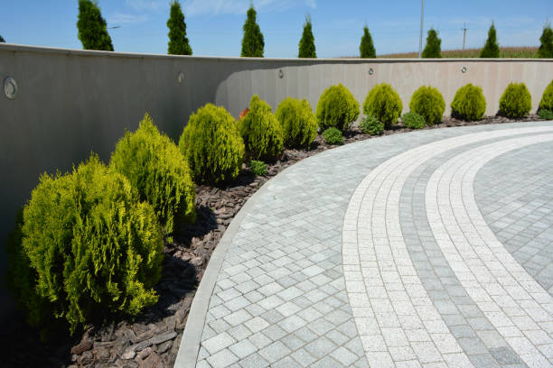 Best Decorative Driveway Pavers  in Aliquip, PA